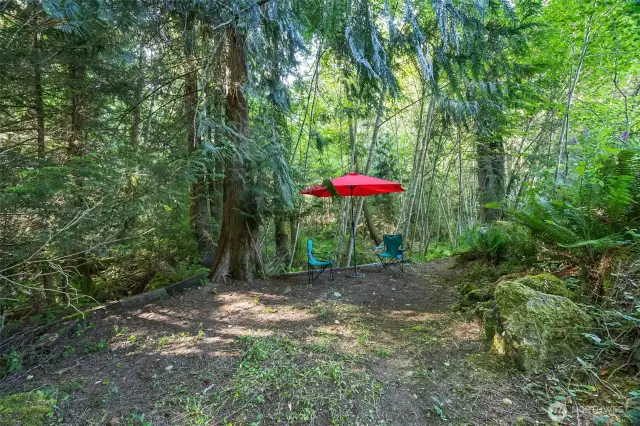 Creek off the back yard,outside the fenced area, the "book nook"