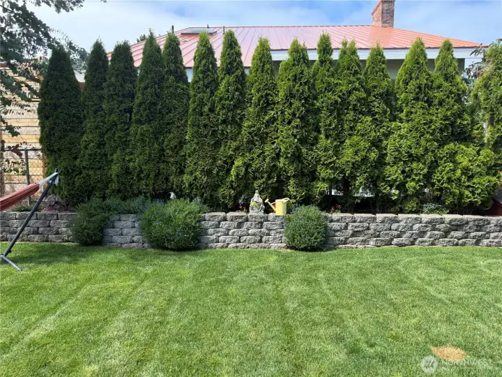 Privacy trees and lovely masonry wall