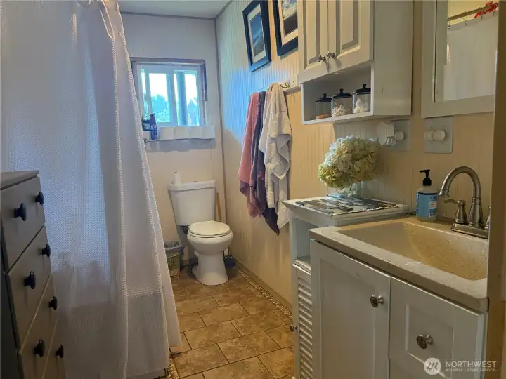 Updated bathroom with gorgeous sink