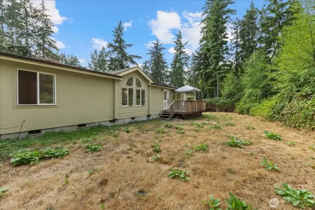 Room to romp in this fenced back yard!