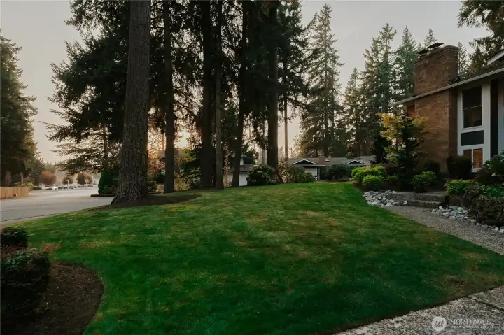 Oversizew corner lot lends privacy and room to play.