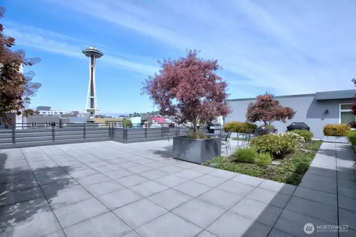 1 of 3 community rooftop view decks