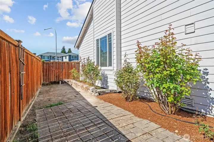 Landscaped side yard with paver stones pathway.