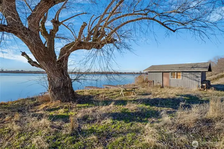 At the base of the switchback, what a delightful area to hang out and play, and have friends gather for a picnic and fun on the lake or in the shade of this gentle giant tree when the leaves come out in the spring!  You're just in time for it!