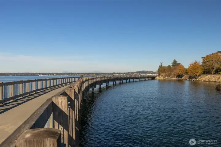 Beautiful path connecting Fairhaven to downtown.