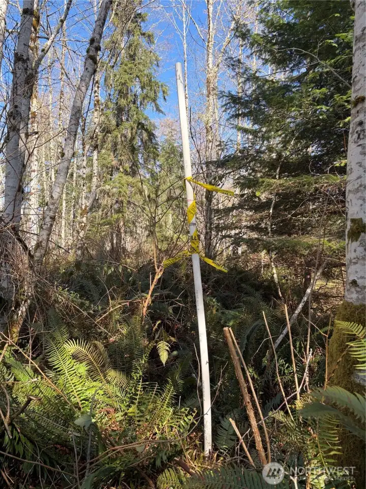 Property corners are staked and flagged.