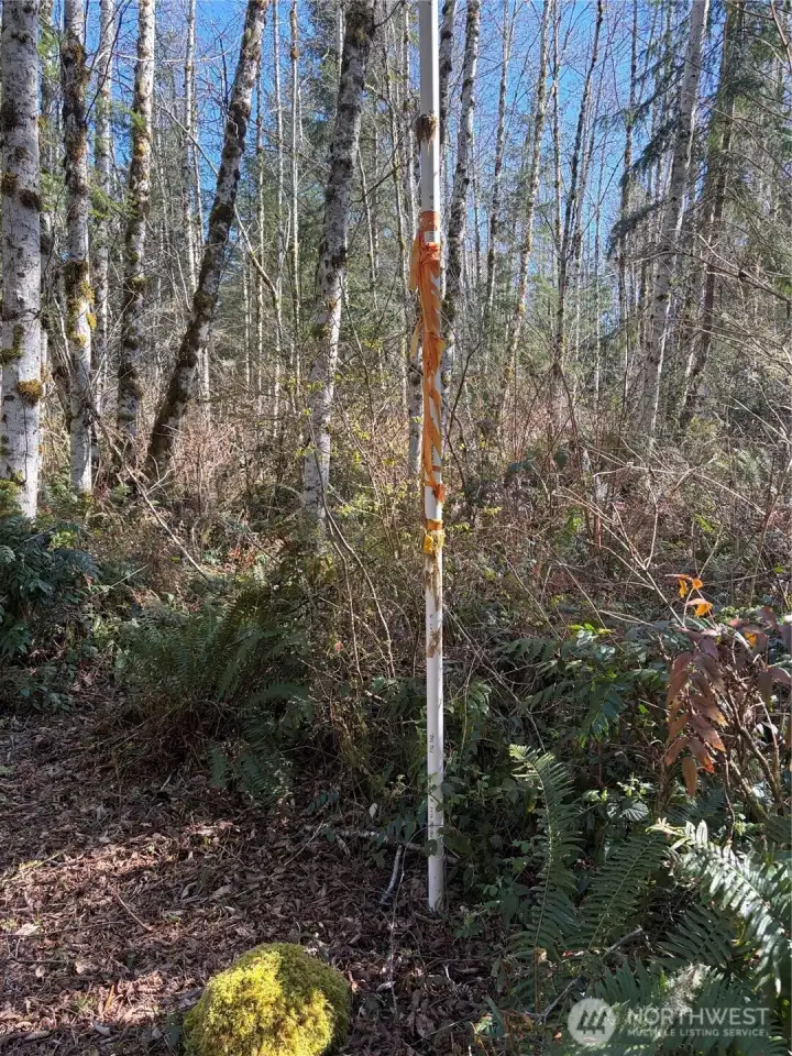 Property corners are staked and flagged.