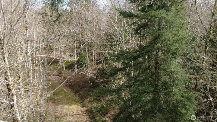 Established driveway into property.