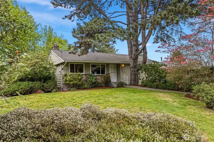 Large front yard with mature landscaping.
