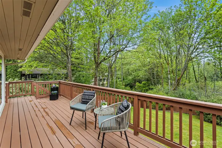 Large deck for grilling, entertaining and relaxing.