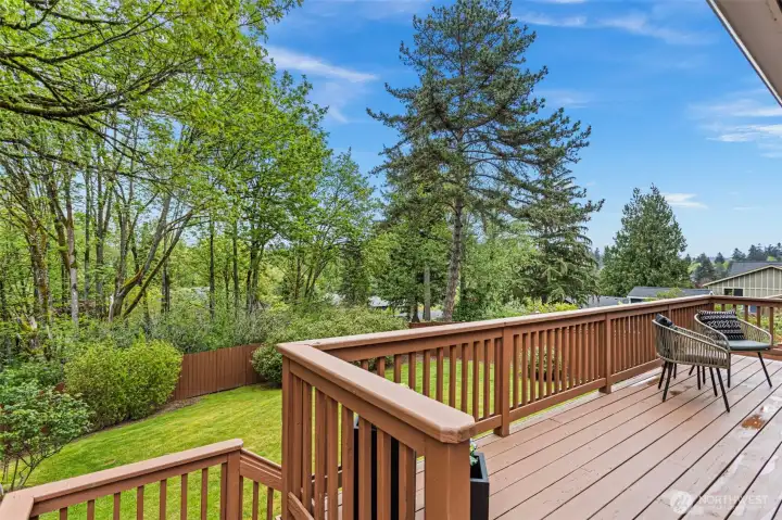 Stairs connects the deck to the lower level.