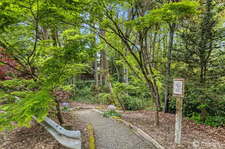 Path connects to Meadowbrook Pond Park to see birds & beavers!