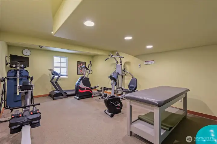 Lower Level Home Gym