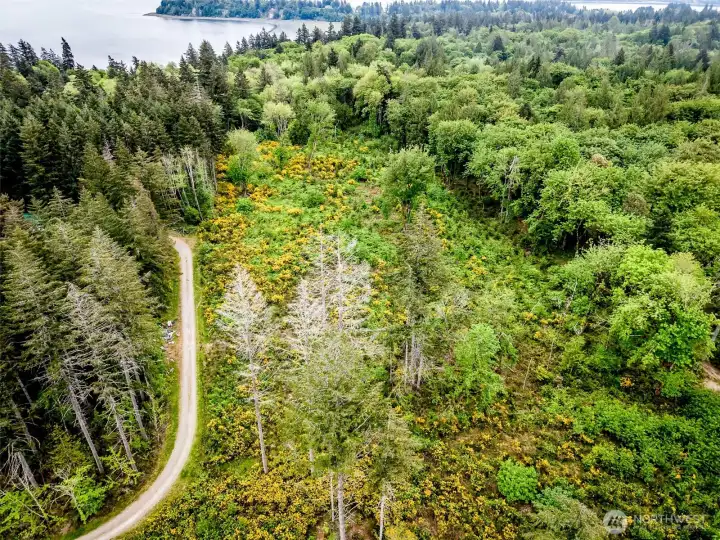 Shy 5-acre parcel Shy 5-acre parcel