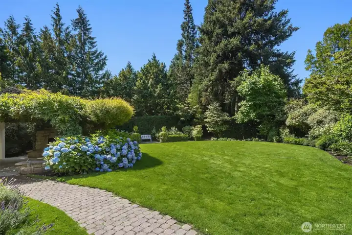 Lush, landscaped backyard with mature trees and flowering shrubs. Lush, landscaped backyard with mature trees and flowering shrubs.