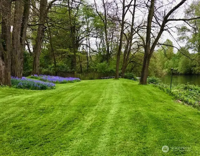 There is a spacious back yard for resident's park like enjoyment.
