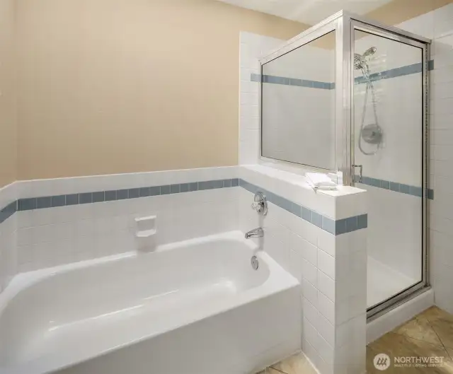 Primary Bath and Separate Shower