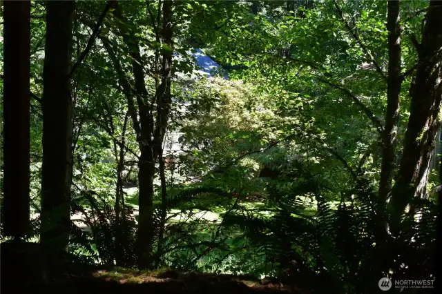 House from the park below