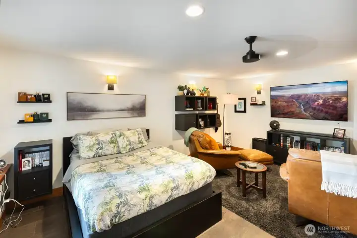 Lower Level Bedroom with 2 closets or use as a movie room, guests or hobbies.