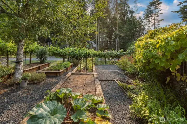 5 large raised garden beds to plant however you like.