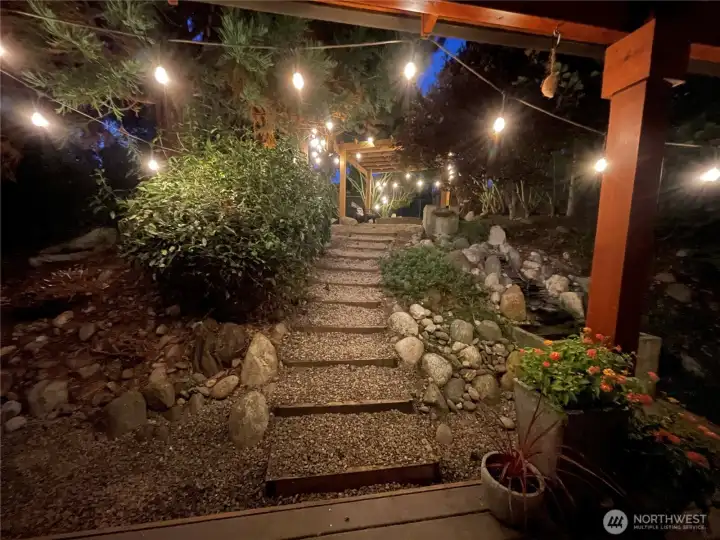 View from back porch after dusk.