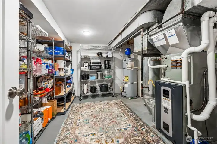 Dry storage utility room in basement.