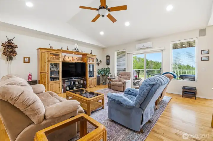 Ceiling fan in TV room