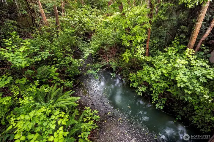 Stream running through property