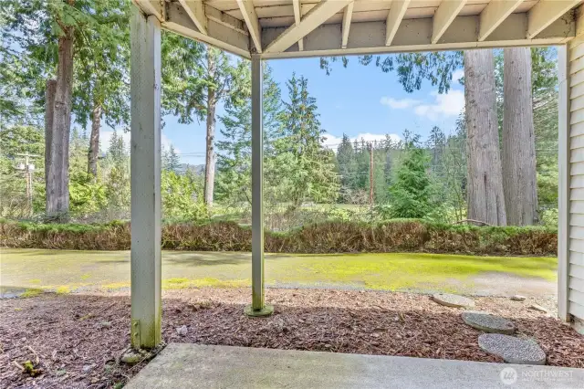 Lower level covered patio. What more could you want?