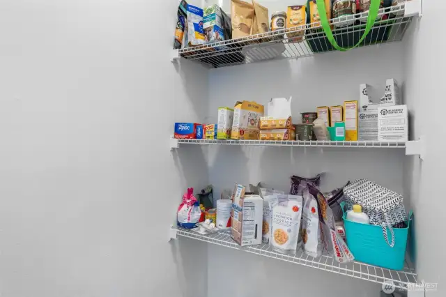 Walk in Pantry Space