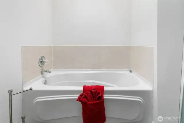 Primary Bath Tub