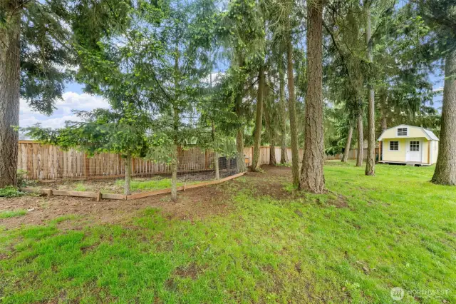 Fenced Chicken yard and coop, Storage Shed