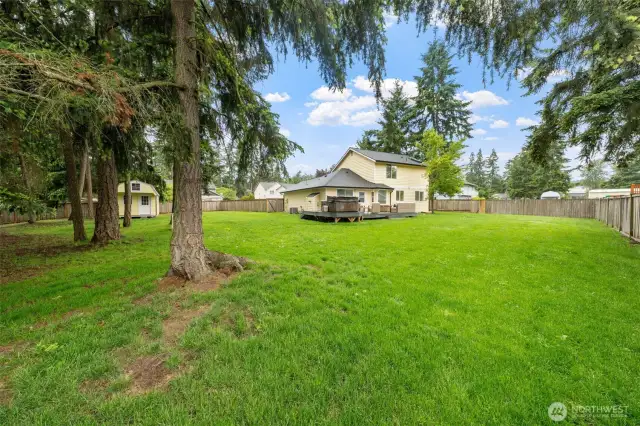 Backyard: Lot is a little more than half an acre