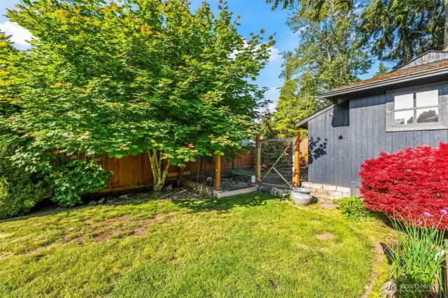 Shed with Chicken Run