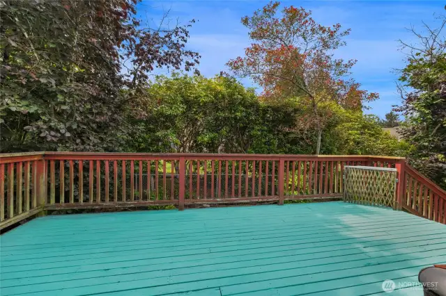 Secluded back deck