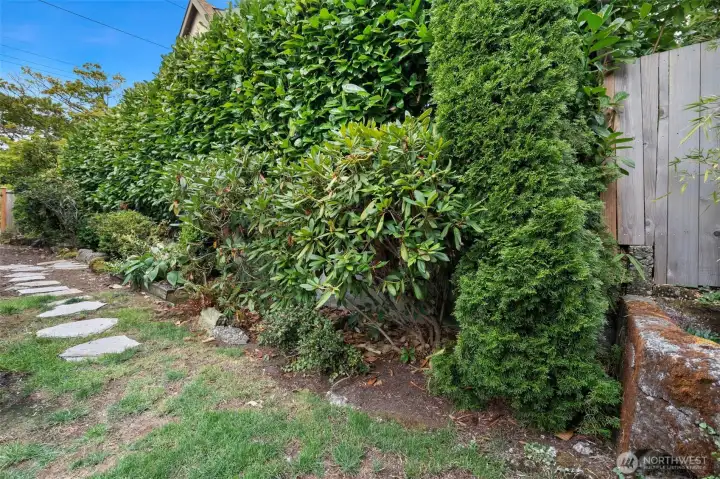 North side yard
