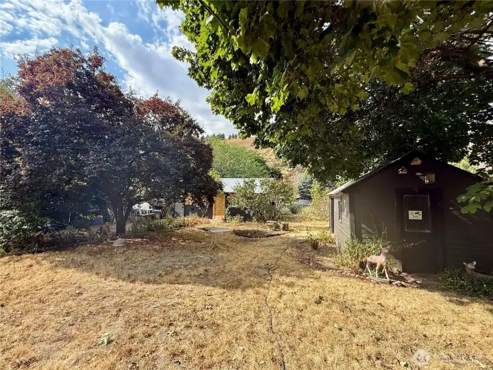 Fenced Backyard With Mature Trees