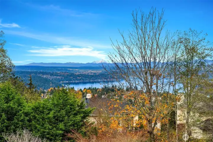 View from Primary Deck