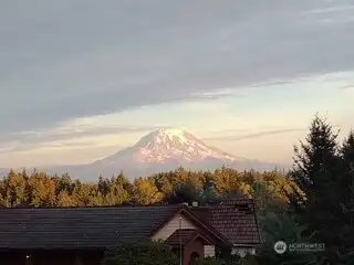 view from primary suite