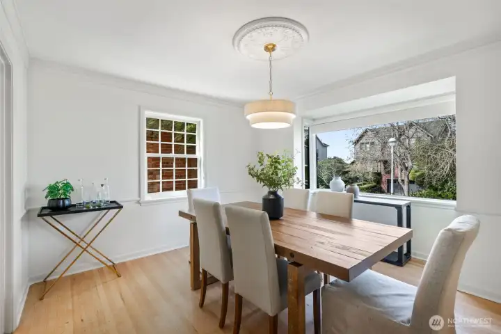 Solar window treatments