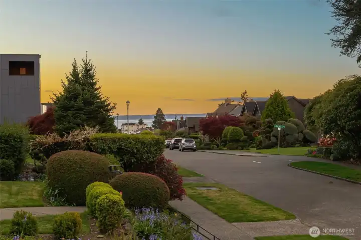 Peekaboo view from the front yard
