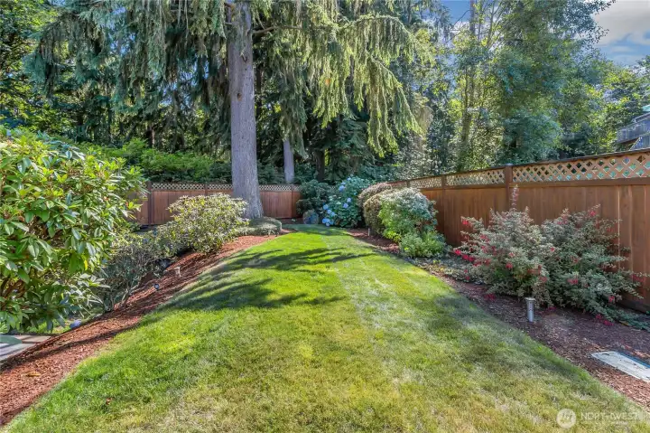 Garden Area