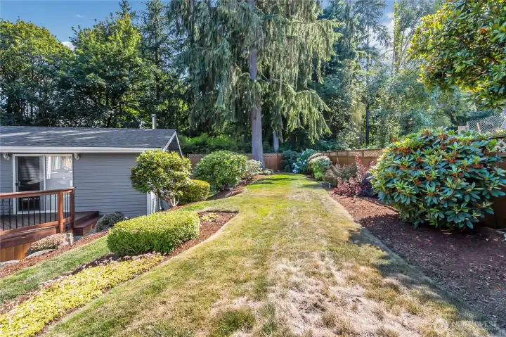 Garden no grass