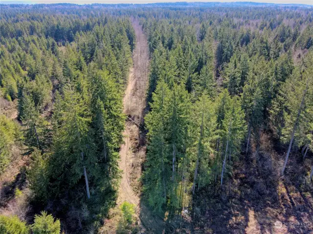 View of the subject site with the easement that runs north from 200th Street East.