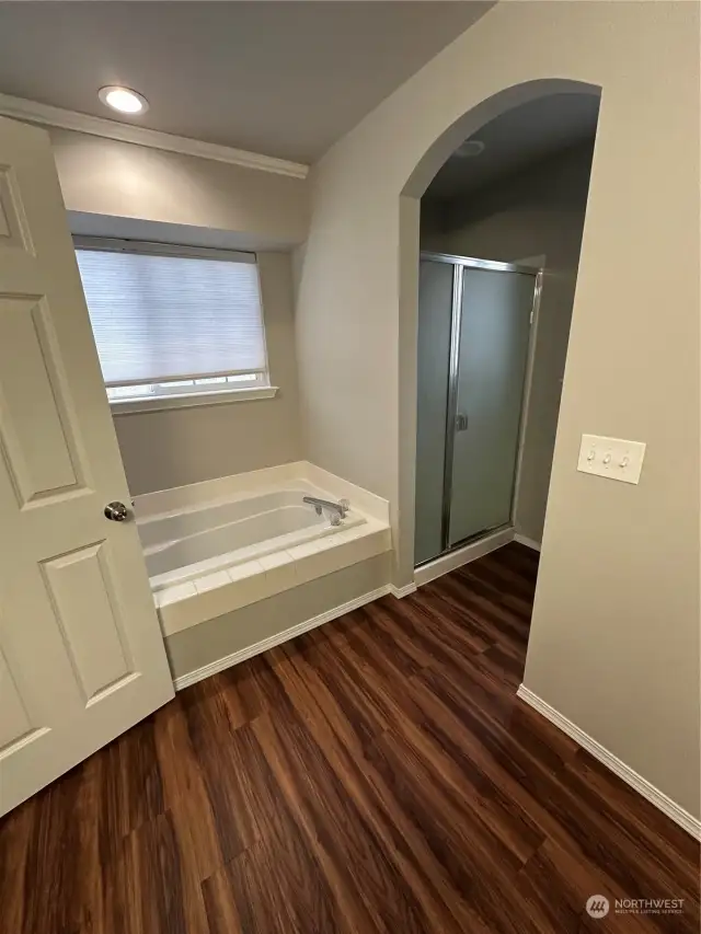 Master Tub & Shower