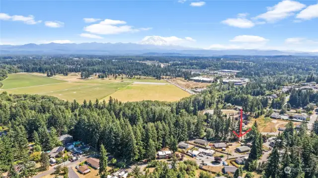 Mt. Rainier views from the neighborhood!