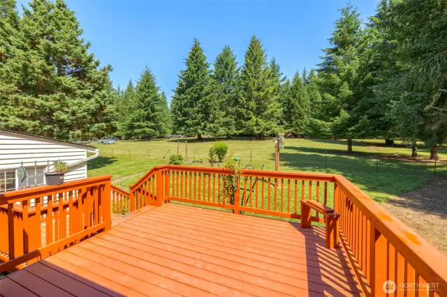 New deck in 2024