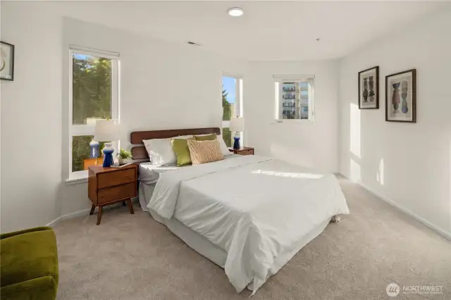 Downstairs guest bedroom with walk-in closet.