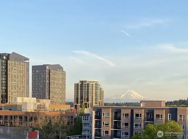 View from the balcony of beautiful Mt. Ranier.