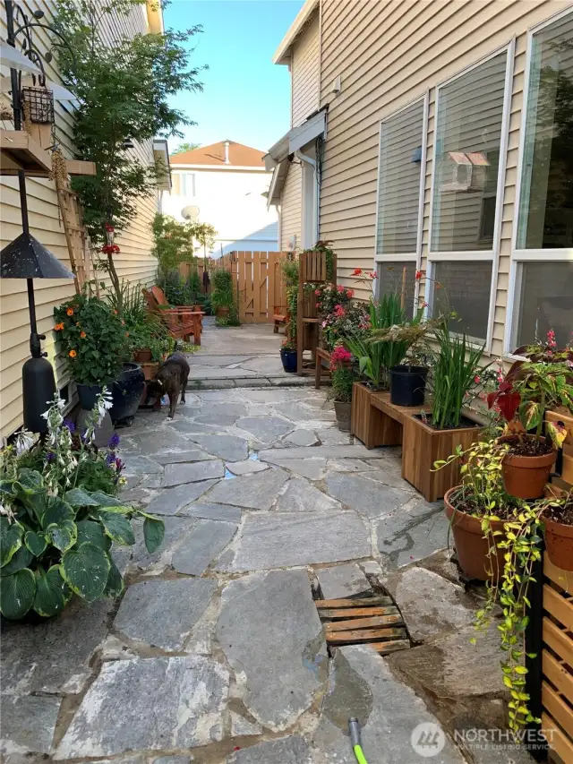 How the yard looked with all of the seller's pots & plants. Stunning!